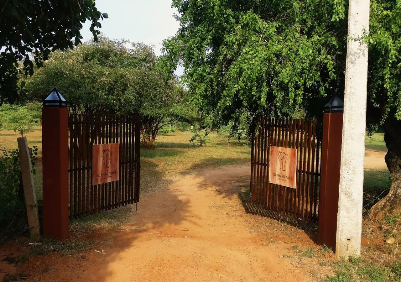 The Elephant Pass - Yala Tissamaharama Ngoại thất bức ảnh